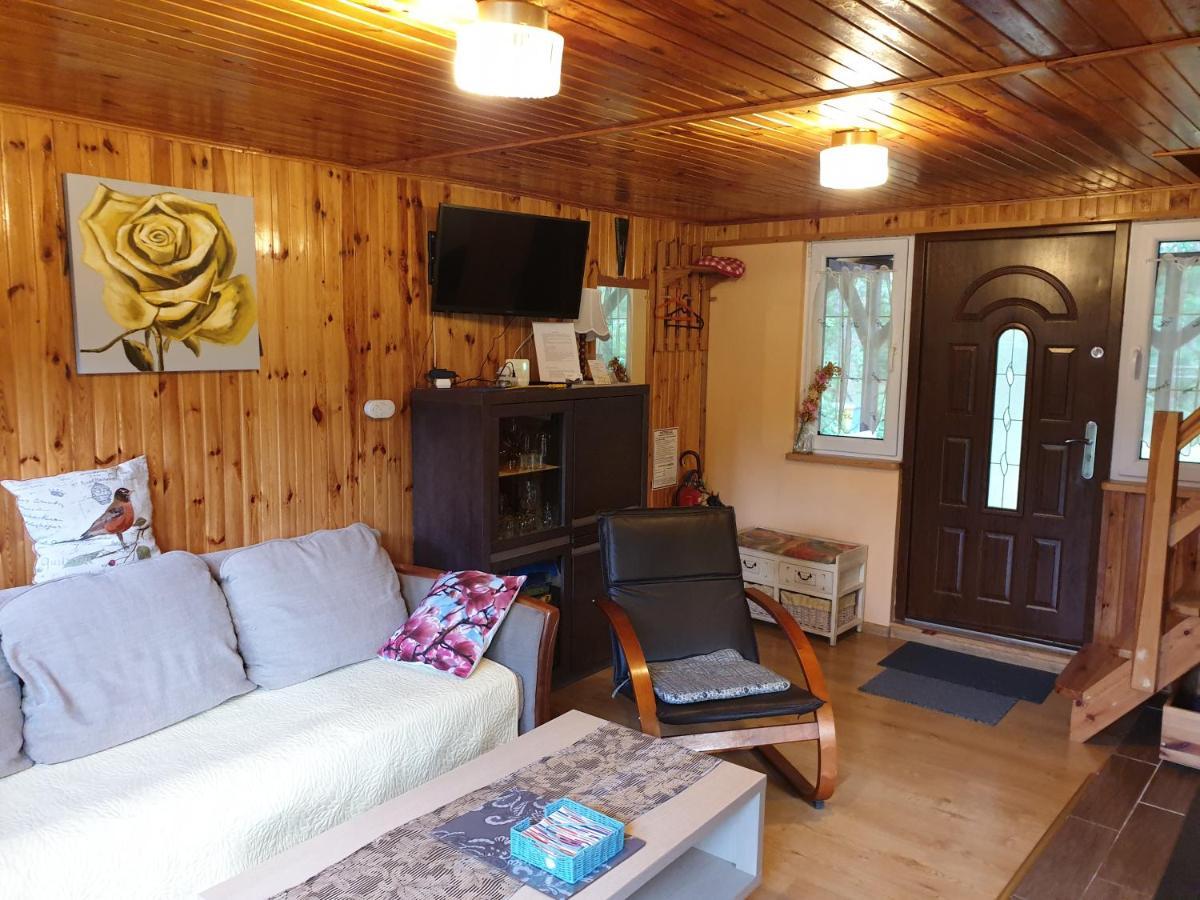 Brazowy - Tlen, Bory Tucholskie