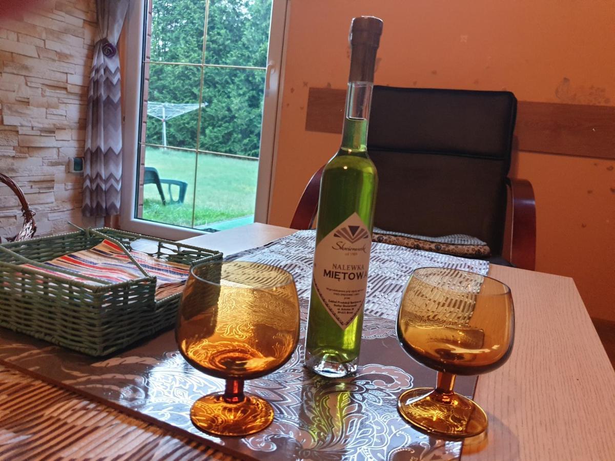 Brazowy - Tlen, Bory Tucholskie Casa vacanze Tleń